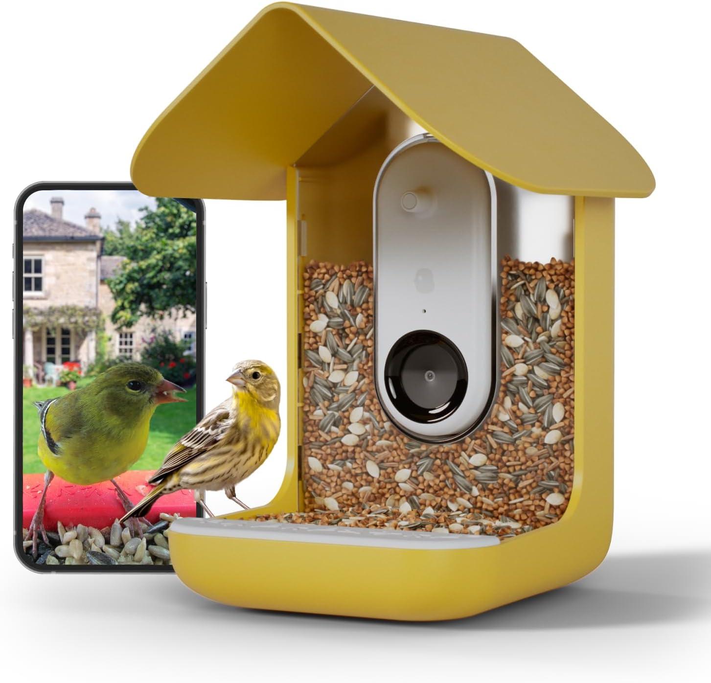 A bird eats at a Bird Buddy feeder system