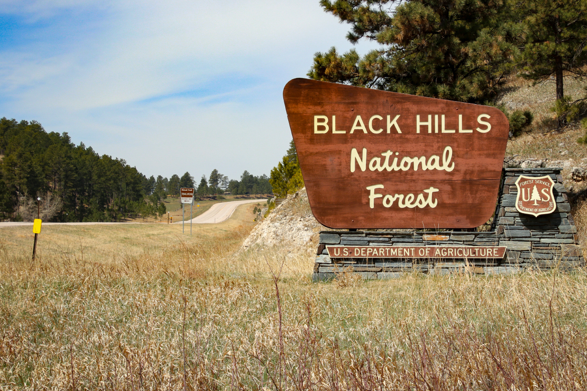 Black Hills National Forest landmark sign along highway