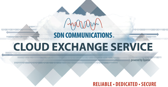 SDN Cloud Exchange Service
