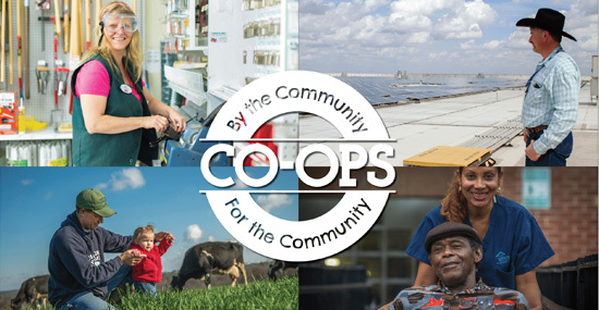 Cooperative businesses - by the community for the community