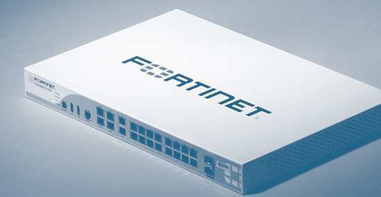 Fortinet FortiGate Vulnerability Secured