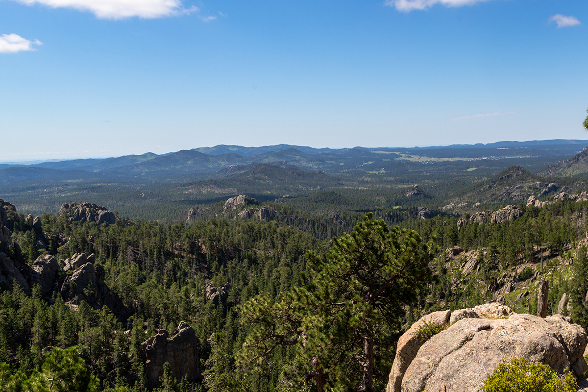 Black Hills skyline