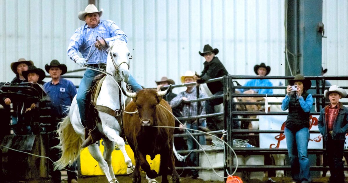 New Venture Communications CEO has a love of… SDN Communications