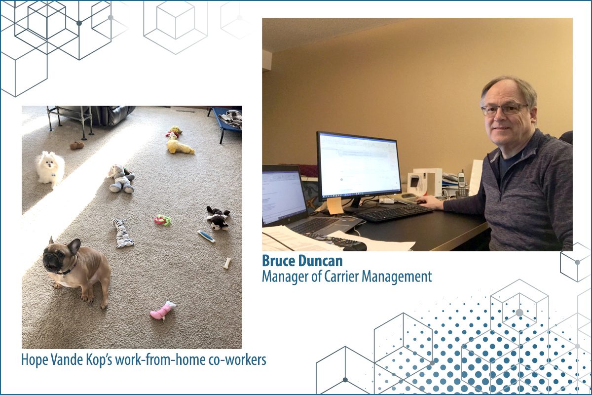 two puppies with all their toys and separate photo of Bruce Duncan working from home