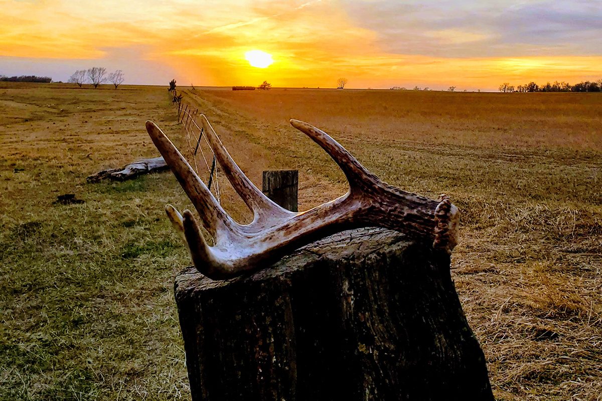 A pair of antlers rests on a stump with the sun setting in a rural empty field.