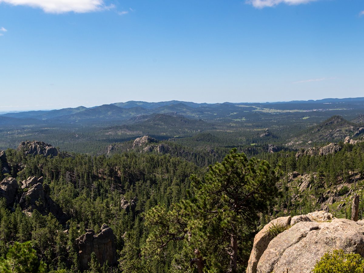 Black Hills of South Dakota