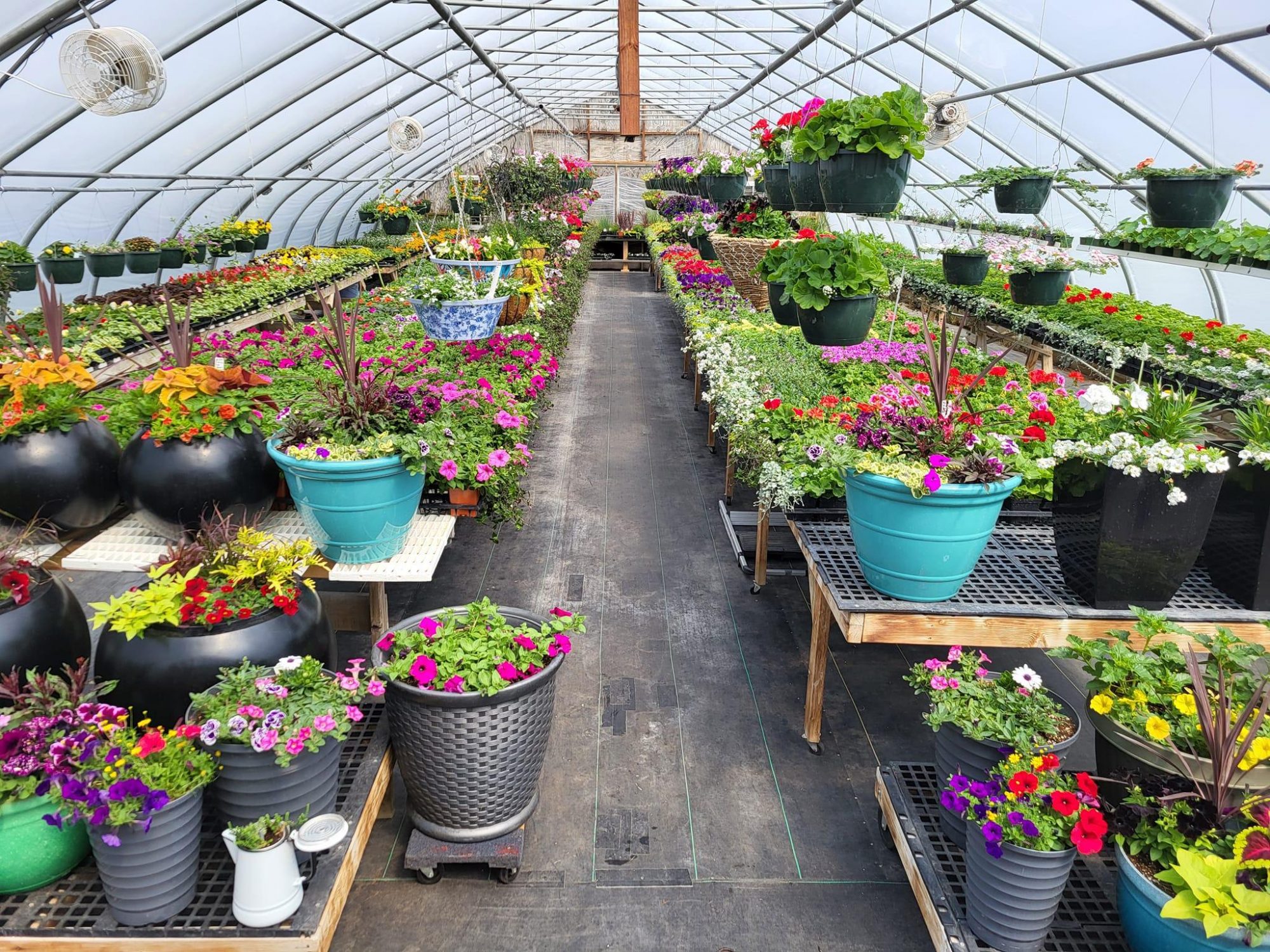 The Roni Daale & Company Greenhouse in Fairview, South Dakota.