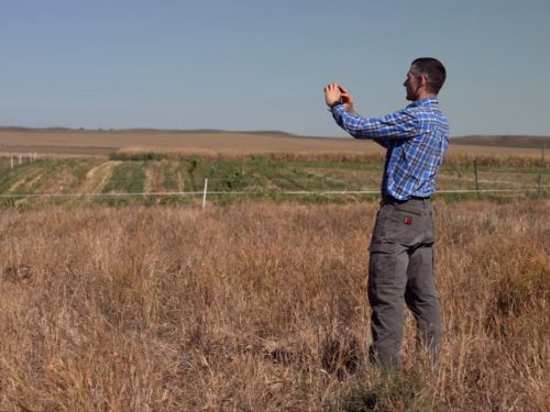 Researcher using cell phone to take photo of open grassland