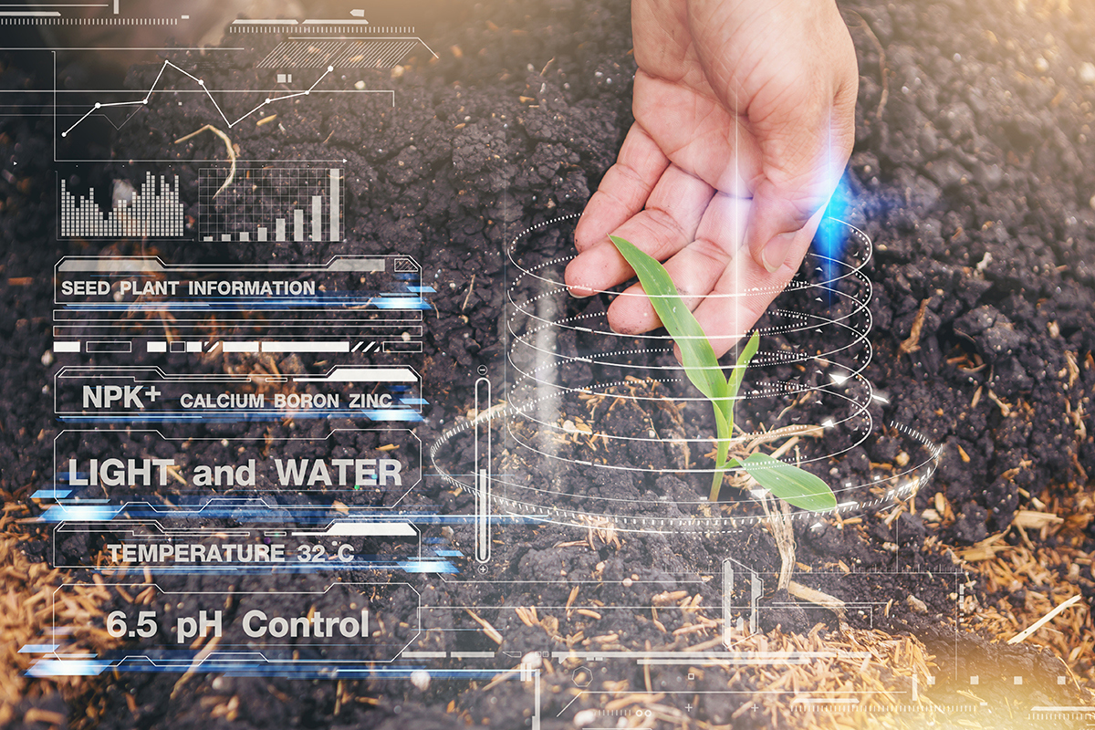 hand holding corn seedling with data about the plant displayed