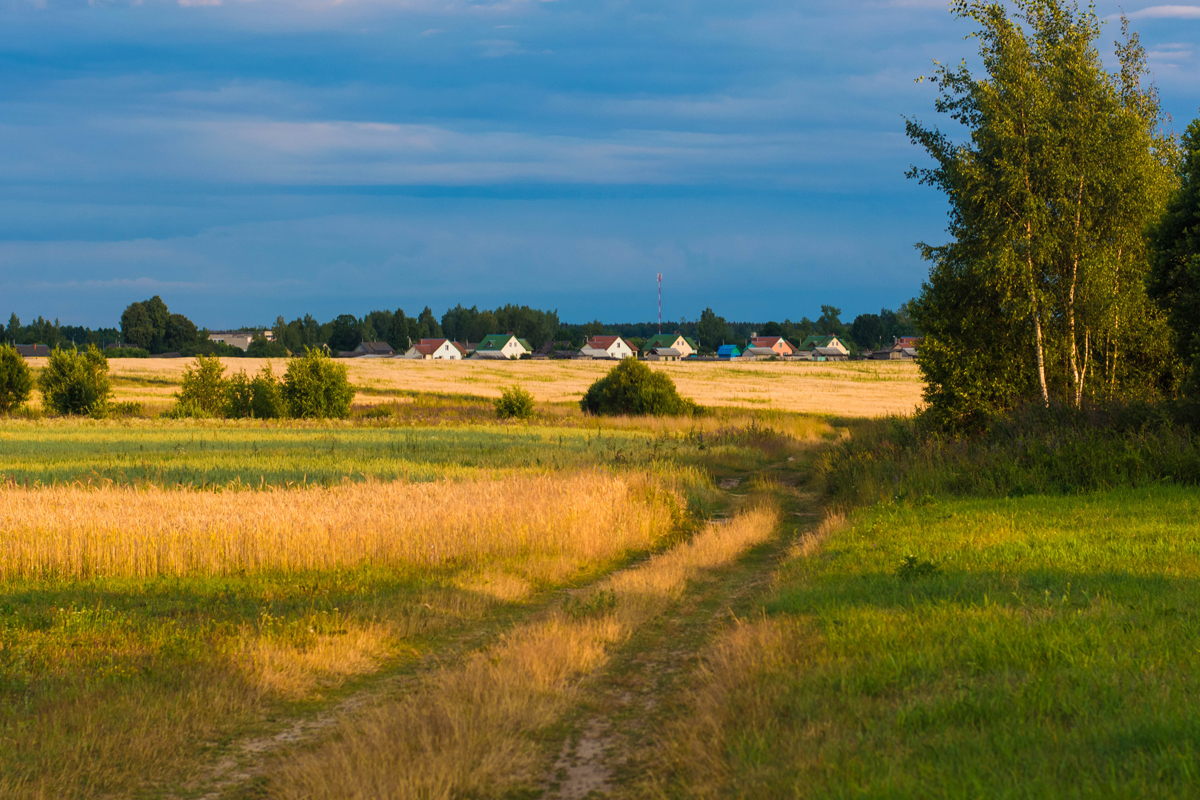 rural community homes in the distance behind fields and trees